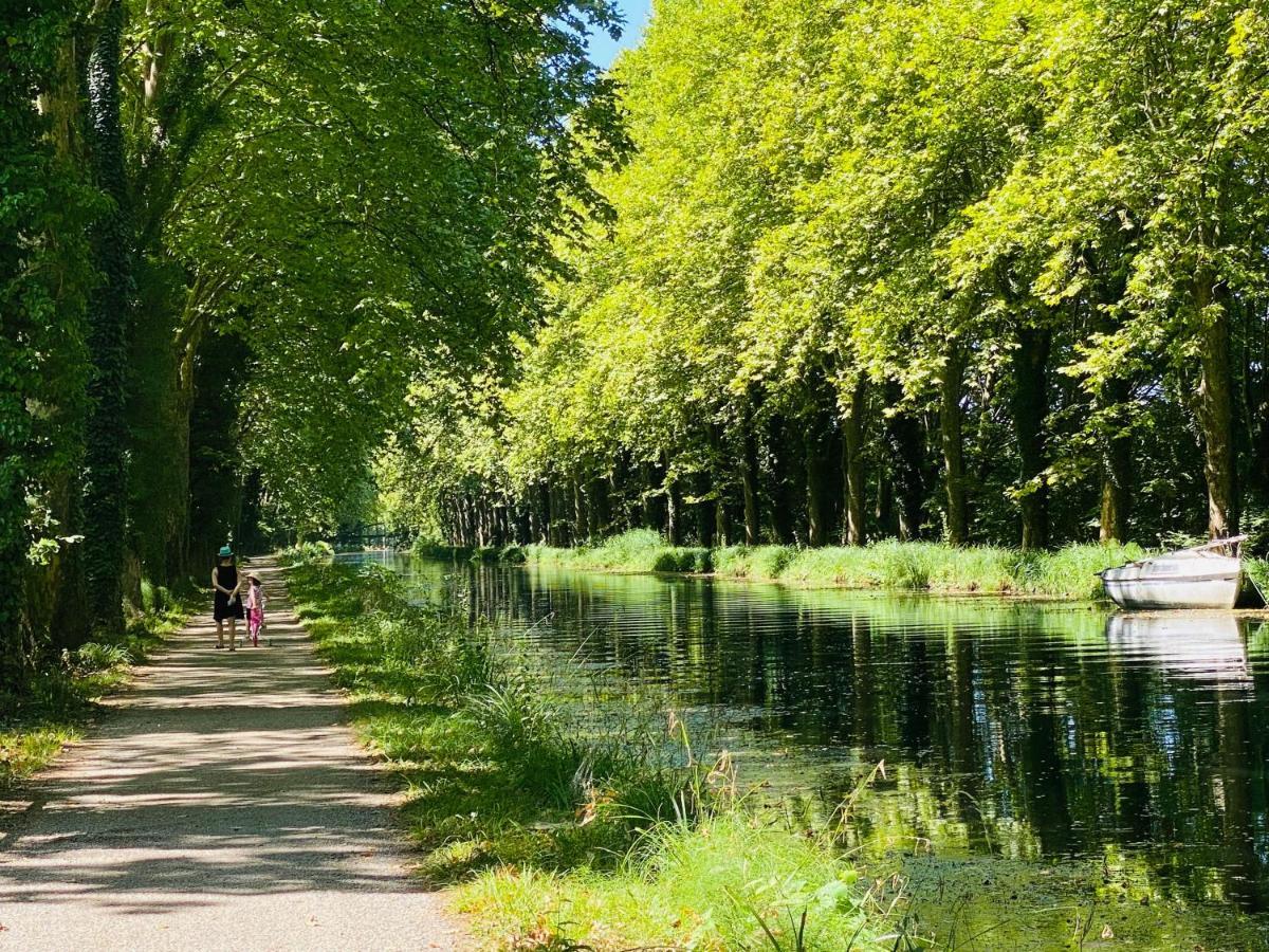 Gite La Canopee A Duras - Piscine Eksteriør bilde
